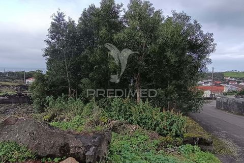 Helårsgrund i Sao Roque do Pico, Pico, Sao Roque do Pico - € 5.000 | Ref: 057840 - foto 8