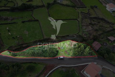 Helårsgrund i Sao Roque do Pico, Pico, Sao Roque do Pico - € 5.000 | Ref: 057840 - foto 10