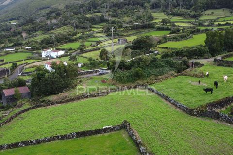 Helårsgrund i Sao Roque do Pico, Pico, Sao Roque do Pico - € 5.000 | Ref: 057840 - foto 11