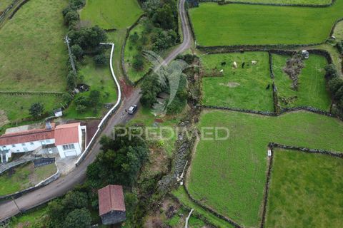 Helårsgrund i Sao Roque do Pico, Pico, Sao Roque do Pico - € 5.000 | Ref: 057840 - foto 14