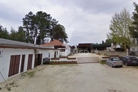 Erhvervsejendom i Anadia, Aveiro, Anadia - € 192.000 | Ref: 057965 - foto 1