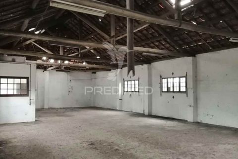 Erhvervsejendom i Anadia, Aveiro, Anadia - € 192.000 | Ref: 057965 - foto 5