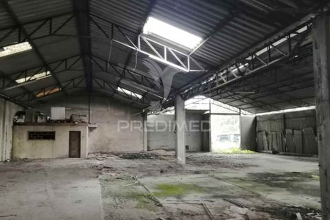 Erhvervsejendom i Anadia, Aveiro, Anadia - € 192.000 | Ref: 057965 - foto 6