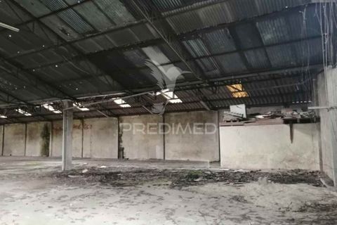 Erhvervsejendom i Anadia, Aveiro, Anadia - € 192.000 | Ref: 057965 - foto 8