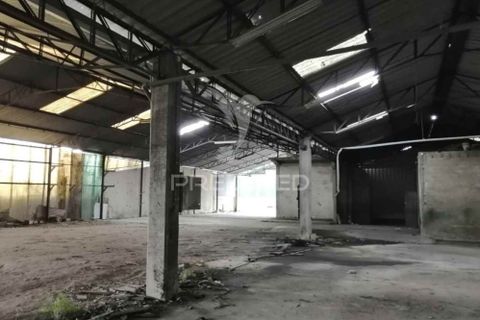 Erhvervsejendom i Anadia, Aveiro, Anadia - € 192.000 | Ref: 057965 - foto 9