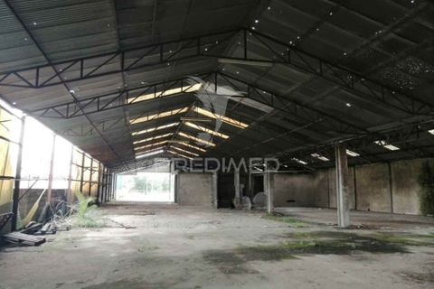 Erhvervsejendom i Anadia, Aveiro, Anadia - € 192.000 | Ref: 057965 - foto 10