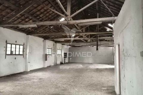 Erhvervsejendom i Anadia, Aveiro, Anadia - € 192.000 | Ref: 057965 - foto 11