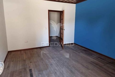 Erhvervsejendom i Anadia, Aveiro, Anadia - € 192.000 | Ref: 057965 - foto 13