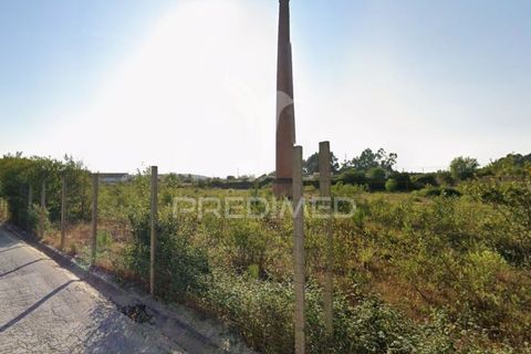 Helårsgrund i Agueda, Aveiro, Agueda - € 258.000 | Ref: 057968 - foto 1