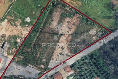 Helårsgrund i Agueda, Aveiro, Agueda - € 258.000 | Ref: 057968 - foto 2
