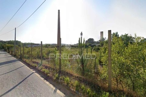 Helårsgrund i Agueda, Aveiro, Agueda - € 258.000 | Ref: 057968 - foto 3