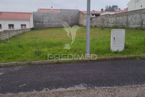 Terra a Chamusca, Santarem, Chamusca - € 33.000 | Ref: 058388 - foto 2