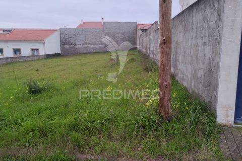 Terra a Chamusca, Santarem, Chamusca - € 33.000 | Ref: 058388 - foto 3