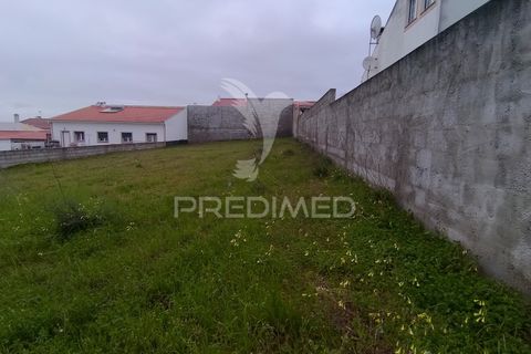 Terra a Chamusca, Santarem, Chamusca - € 33.000 | Ref: 058388 - foto 4