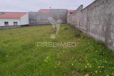 Terra a Chamusca, Santarem, Chamusca - € 33.000 | Ref: 058388 - foto 5