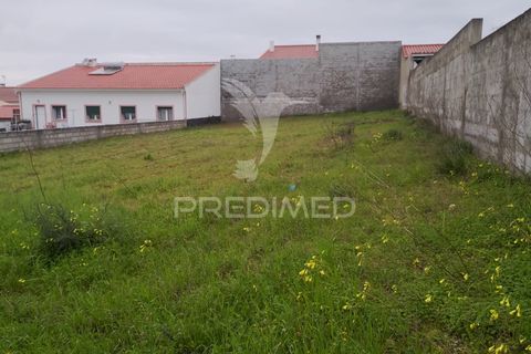 Terra a Chamusca, Santarem, Chamusca - € 33.000 | Ref: 058388 - foto 6
