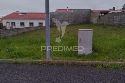 Terra a Chamusca, Santarem, Chamusca - € 33.000 | Ref: 058388 - foto 7
