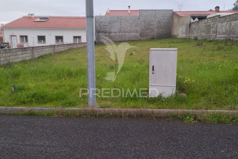 Terra a Chamusca, Santarem, Chamusca - € 33.000 | Ref: 058388 - foto 8