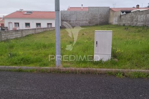 Terra a Chamusca, Santarem, Chamusca - € 33.000 | Ref: 058388 - foto 10