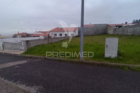 Terra a Chamusca, Santarem, Chamusca - € 33.000 | Ref: 058388 - foto 11