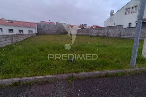 Terra a Chamusca, Santarem, Chamusca - € 33.000 | Ref: 058388 - foto 12