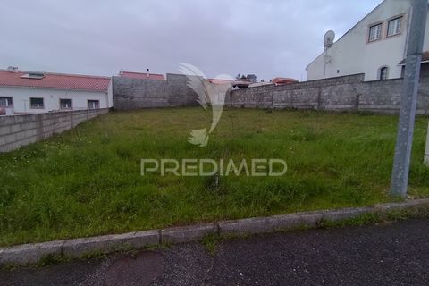 Terra a Chamusca, Santarem, Chamusca - € 33.000 | Ref: 058388 - foto 13