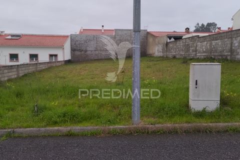 Terra a Chamusca, Santarem, Chamusca - € 33.000 | Ref: 058388 - foto 14