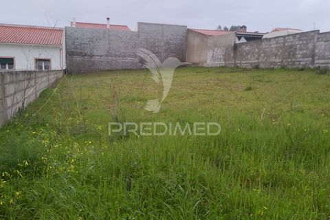 Terra a Chamusca, Santarem, Chamusca - € 33.000 | Ref: 058388 - foto 15