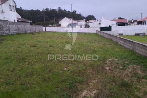 Terra a Chamusca, Santarem, Chamusca - € 33.000 | Ref: 058388 - foto 16