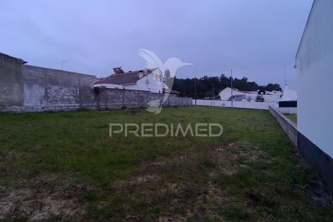 Terra a Chamusca, Santarem, Chamusca - € 33.000 | Ref: 058388 - foto 17