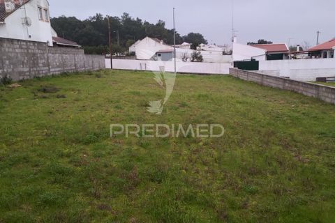 Terra a Chamusca, Santarem, Chamusca - € 33.000 | Ref: 058388 - foto 18