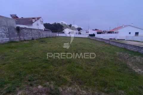 Terra a Chamusca, Santarem, Chamusca - € 33.000 | Ref: 058388 - foto 19