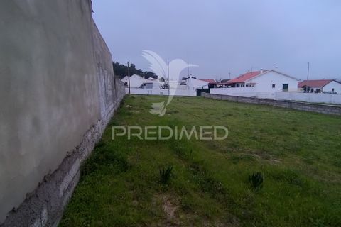 Terra a Chamusca, Santarem, Chamusca - € 33.000 | Ref: 058388 - foto 20