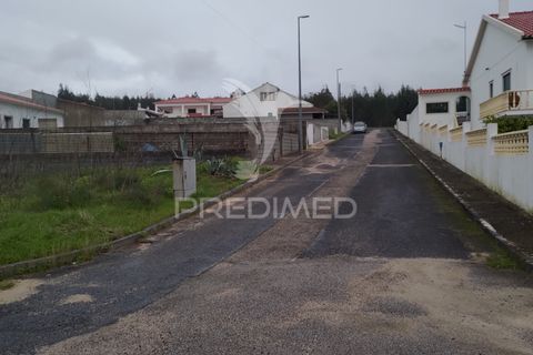 Terra a Chamusca, Santarem, Chamusca - € 33.000 | Ref: 058388 - foto 22