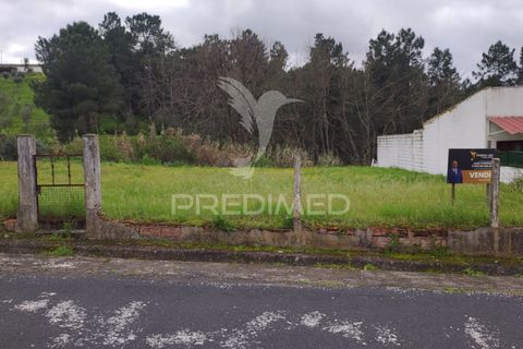 Terra a Chamusca, Santarem, Chamusca - € 32.000 | Ref: 058389 - foto 2