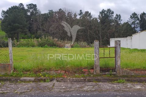 Terra a Chamusca, Santarem, Chamusca - € 32.000 | Ref: 058389 - foto 3