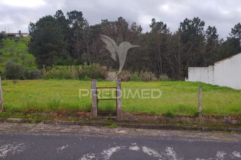 Terra a Chamusca, Santarem, Chamusca - € 32.000 | Ref: 058389 - foto 4