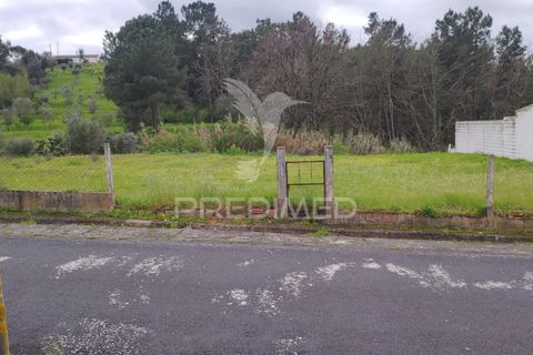 Terra a Chamusca, Santarem, Chamusca - € 32.000 | Ref: 058389 - foto 5