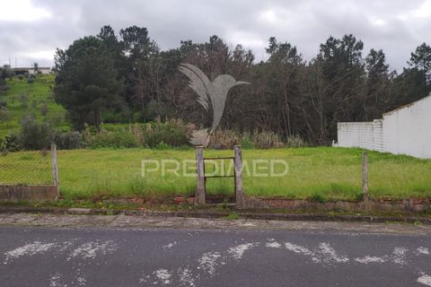 Terra a Chamusca, Santarem, Chamusca - € 32.000 | Ref: 058389 - foto 6