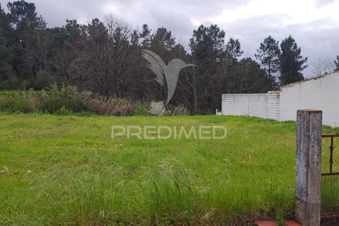 Terra a Chamusca, Santarem, Chamusca - € 32.000 | Ref: 058389 - foto 7