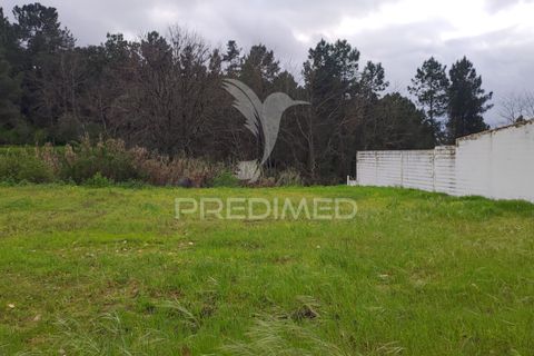 Terra a Chamusca, Santarem, Chamusca - € 32.000 | Ref: 058389 - foto 8