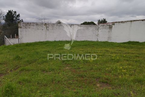 Terra a Chamusca, Santarem, Chamusca - € 32.000 | Ref: 058389 - foto 9