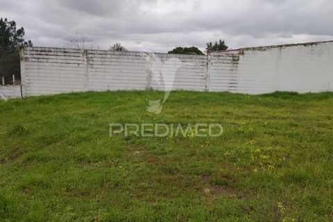 Terra a Chamusca, Santarem, Chamusca - € 32.000 | Ref: 058389 - foto 10
