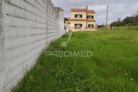 Terra a Chamusca, Santarem, Chamusca - € 32.000 | Ref: 058389 - foto 11