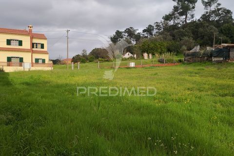 Terra a Chamusca, Santarem, Chamusca - € 32.000 | Ref: 058389 - foto 12