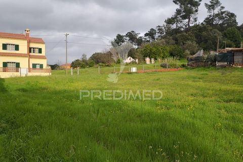 Terra a Chamusca, Santarem, Chamusca - € 32.000 | Ref: 058389 - foto 13