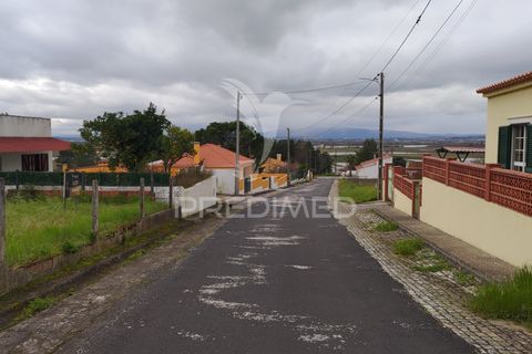 Terra a Chamusca, Santarem, Chamusca - € 32.000 | Ref: 058389 - foto 14