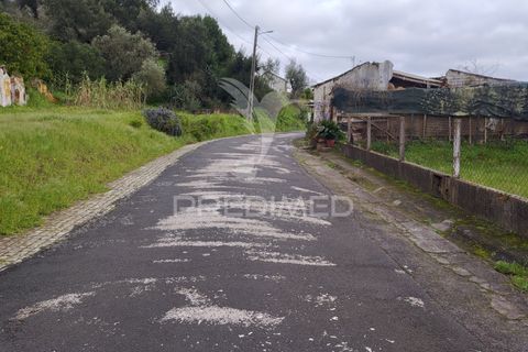 Terra a Chamusca, Santarem, Chamusca - € 32.000 | Ref: 058389 - foto 15