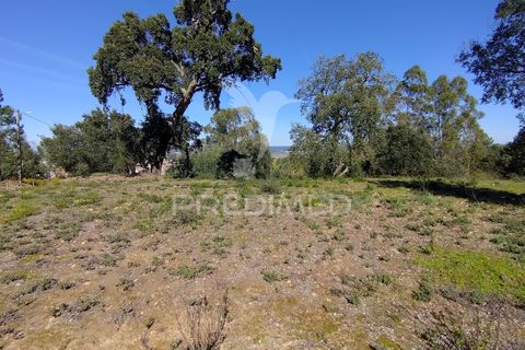 Terra a Constancia, Santarem, Constancia - € 13.500 | Ref: 058518 - foto 2