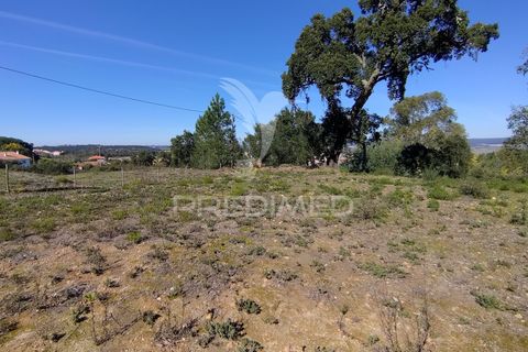 Terra a Constancia, Santarem, Constancia - € 13.500 | Ref: 058518 - foto 3